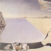 dali at the age of six when he thought he was a girl lifting the skin of the water to see the.jpgLarge