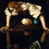 narcissus